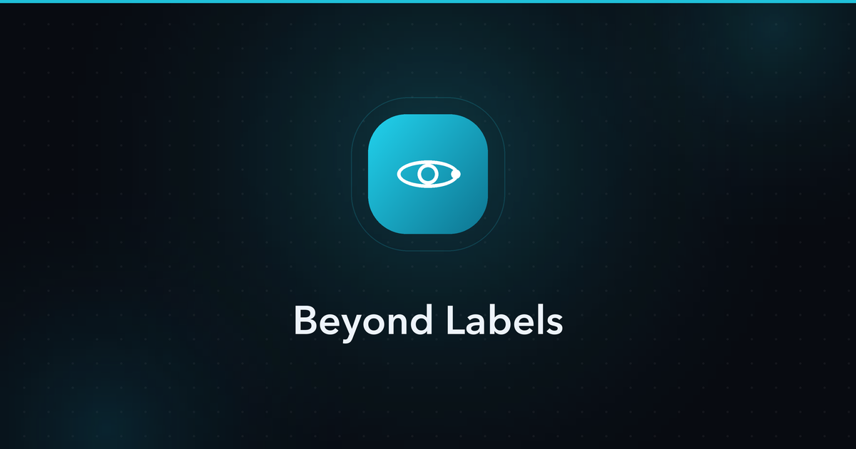 Beyond Labels — standards explainer cover image